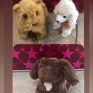 Julie Albright Pet Bundle | American Girl